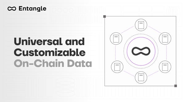 Universal and Customizable On-Chain Data